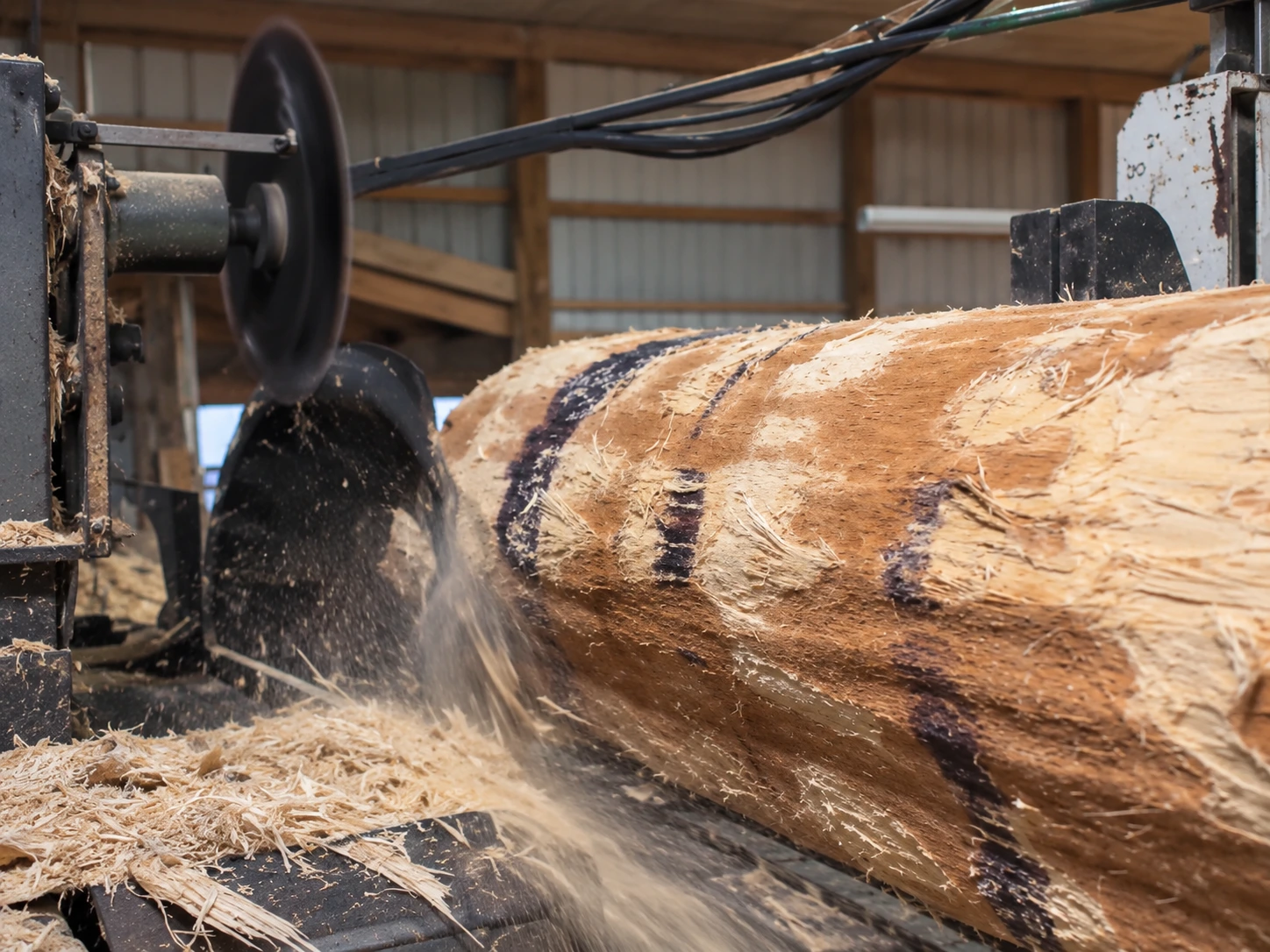 Timber processing machinery cutting a raw log